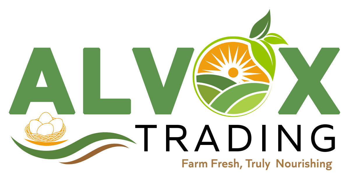 Alvox Trading